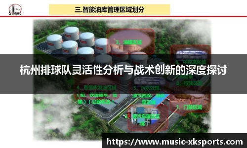 杭州排球队灵活性分析与战术创新的深度探讨
